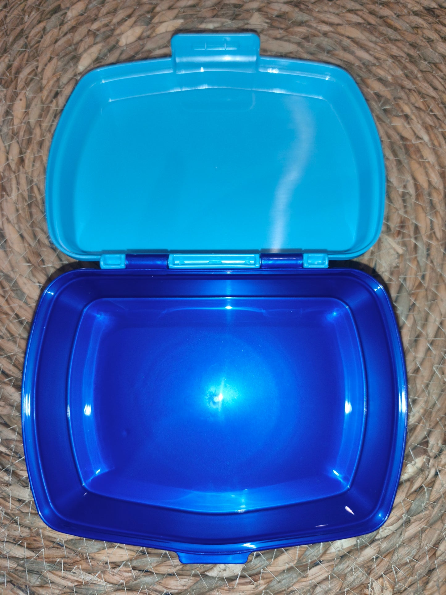 Fiambrera infantil Bluey – caja almuerzo niños