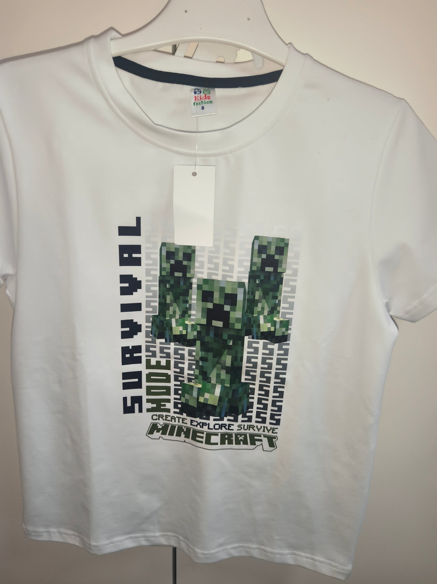 Conjunto Minecraft